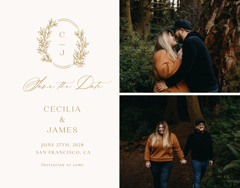 Vinehall Multiphoto | Gold | Zola Save The Dates