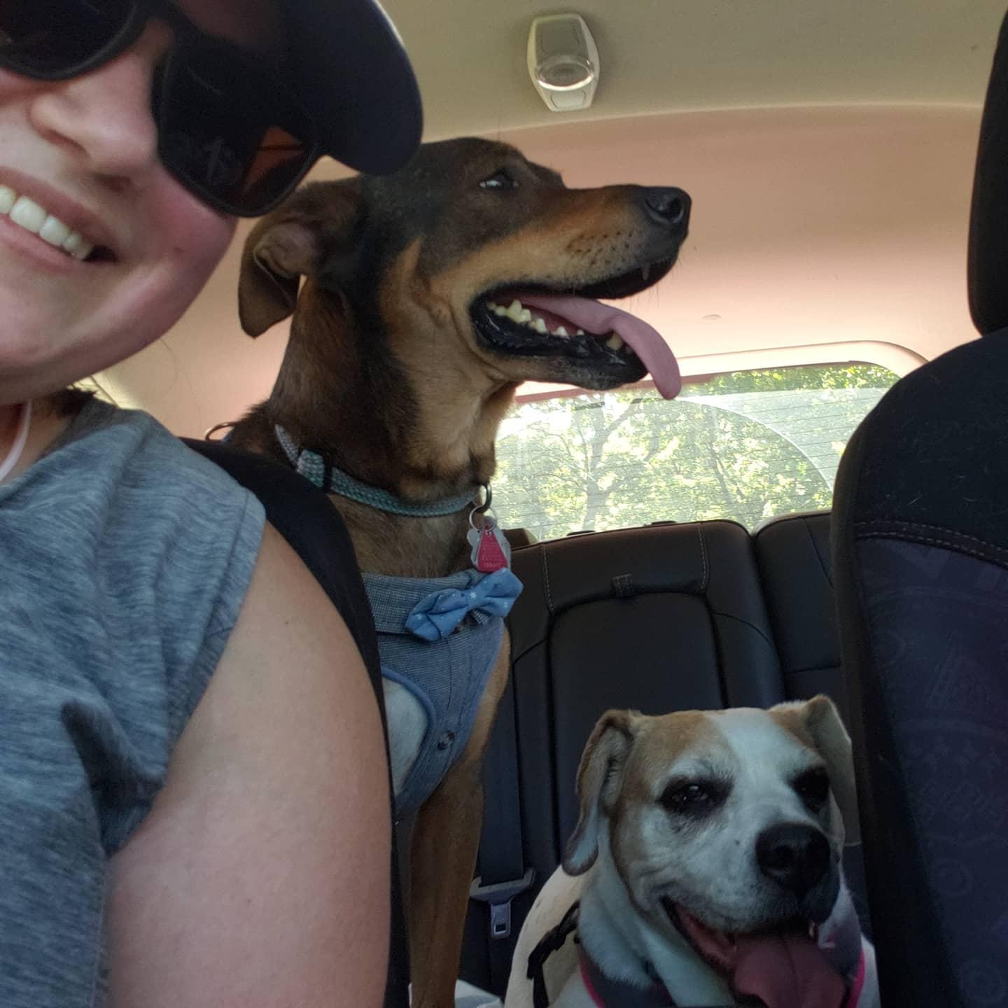 The dogs are always part of the adventure.
