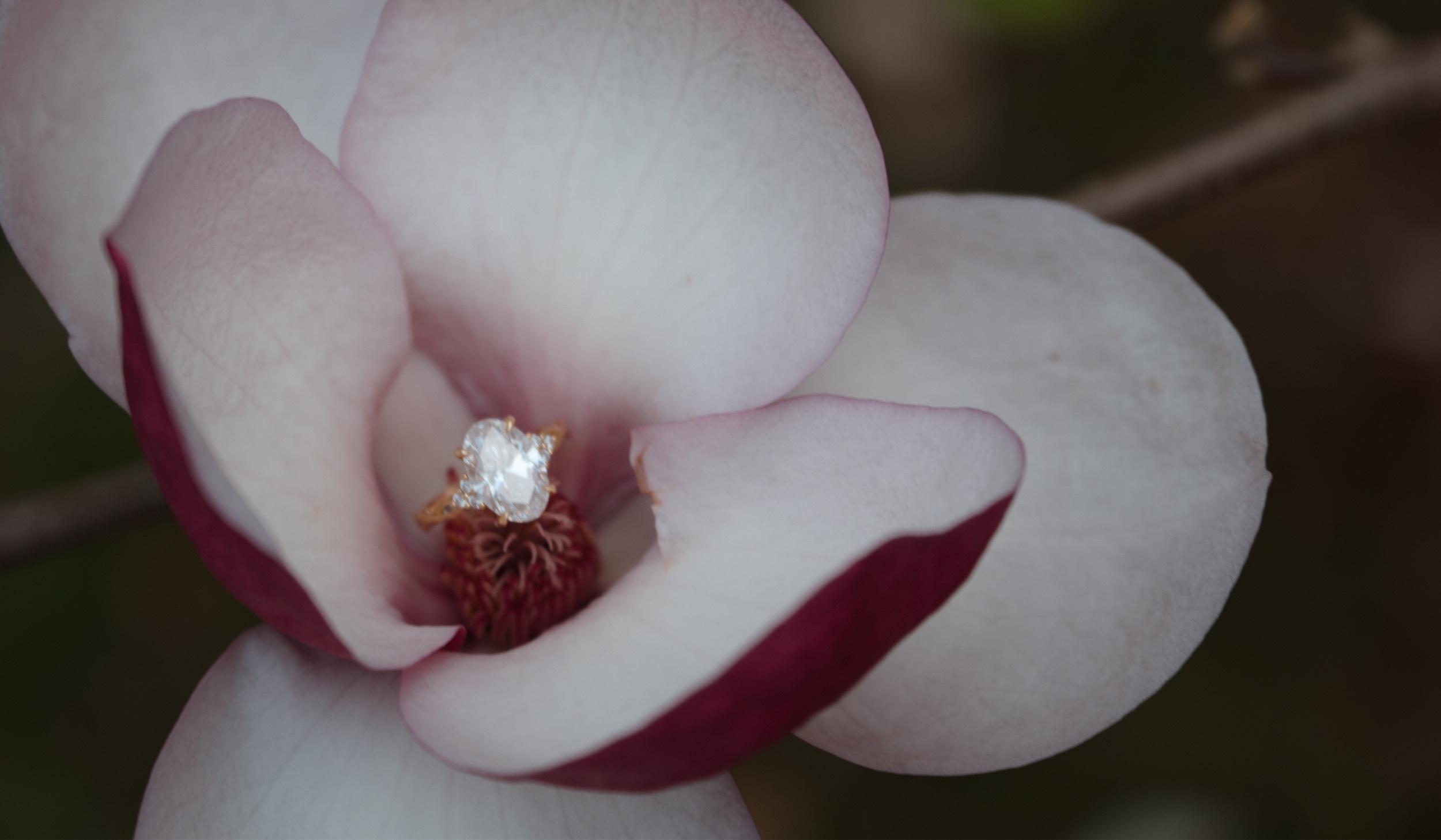 The Wedding Website of Eva Alvarez and David Gensheimer