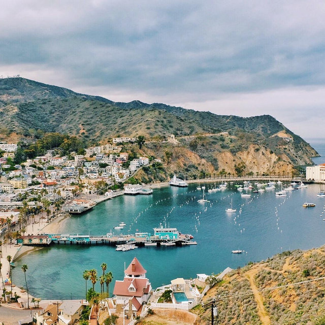 Trip to Catalina for our Honeymoon!!