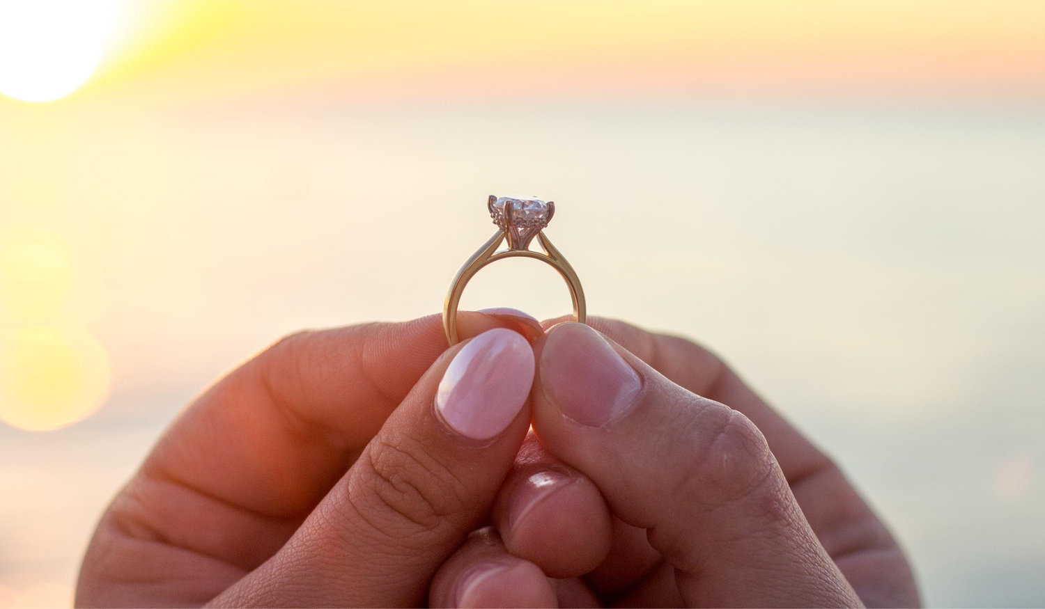 The Wedding Website of Arianna Soto and Austin Oaks