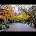 Pedestrian Mall