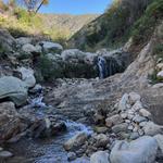 Cold Spring Trailhead