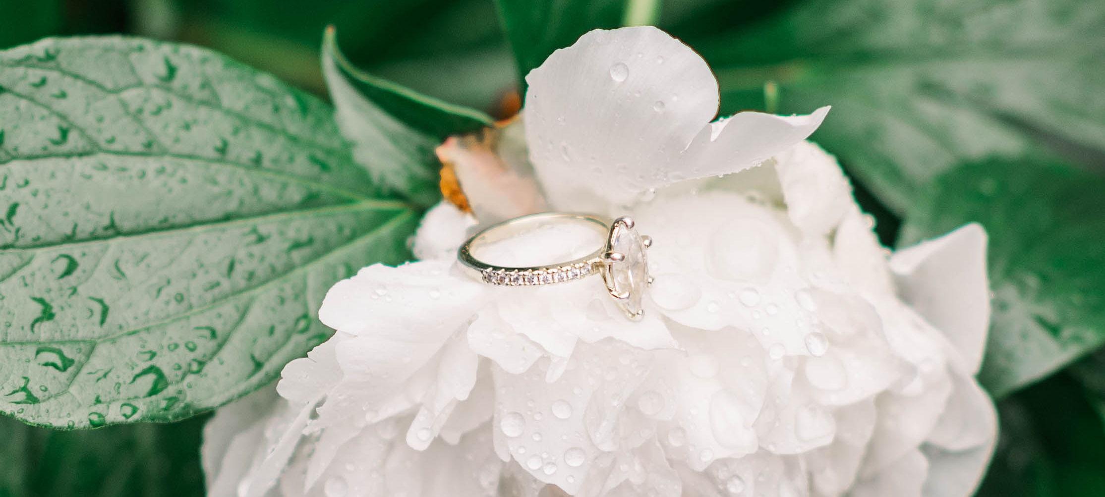 The Wedding Website of Bailey Marks and Christian Rape