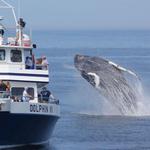 Get Out on the Open Ocean!