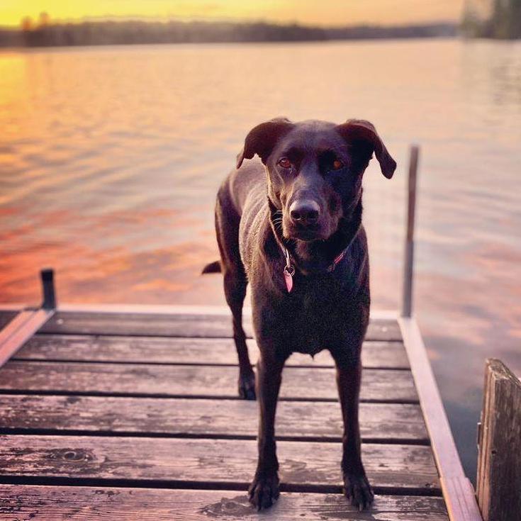 May Girl at the lake - May 2020
