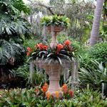 Marie Selby Botanical Gardens
