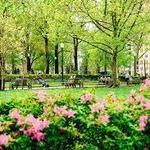 Rittenhouse Square