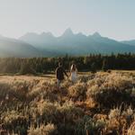 Blacktail Ponds