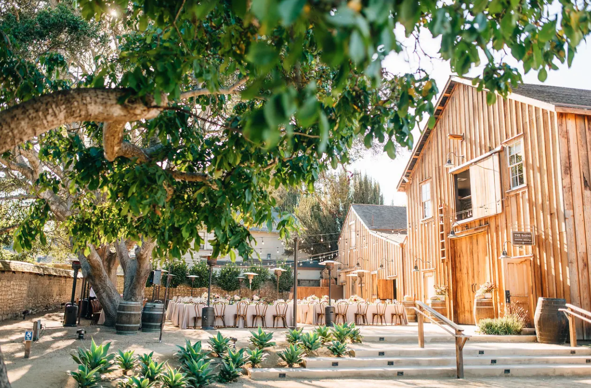 The Wedding Website of Patricia McConnell and Jonathan Laird
