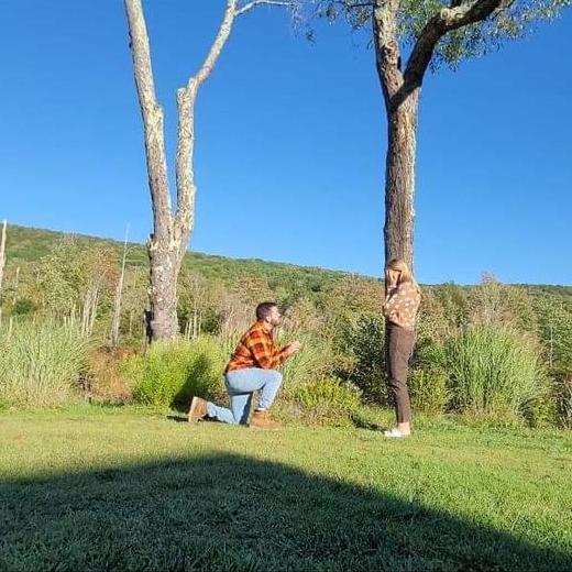 The proposal