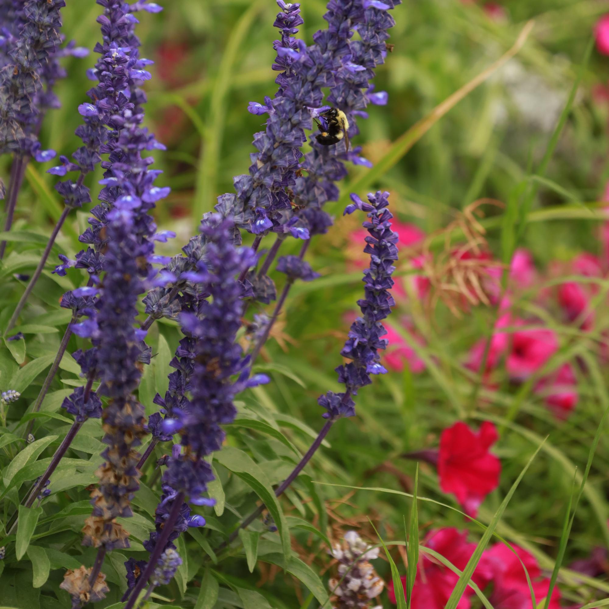 Finally got around to taking those engagement photos

September 2023