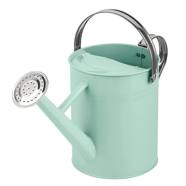 Homarden 1 Gallon Teal Watering Can - Metal Watering Can with Removable Spout, Perfect Plant Watering Can for Indoor and Outdoor Plants (House Plants) - Ideal Christmas Gift & Decoration