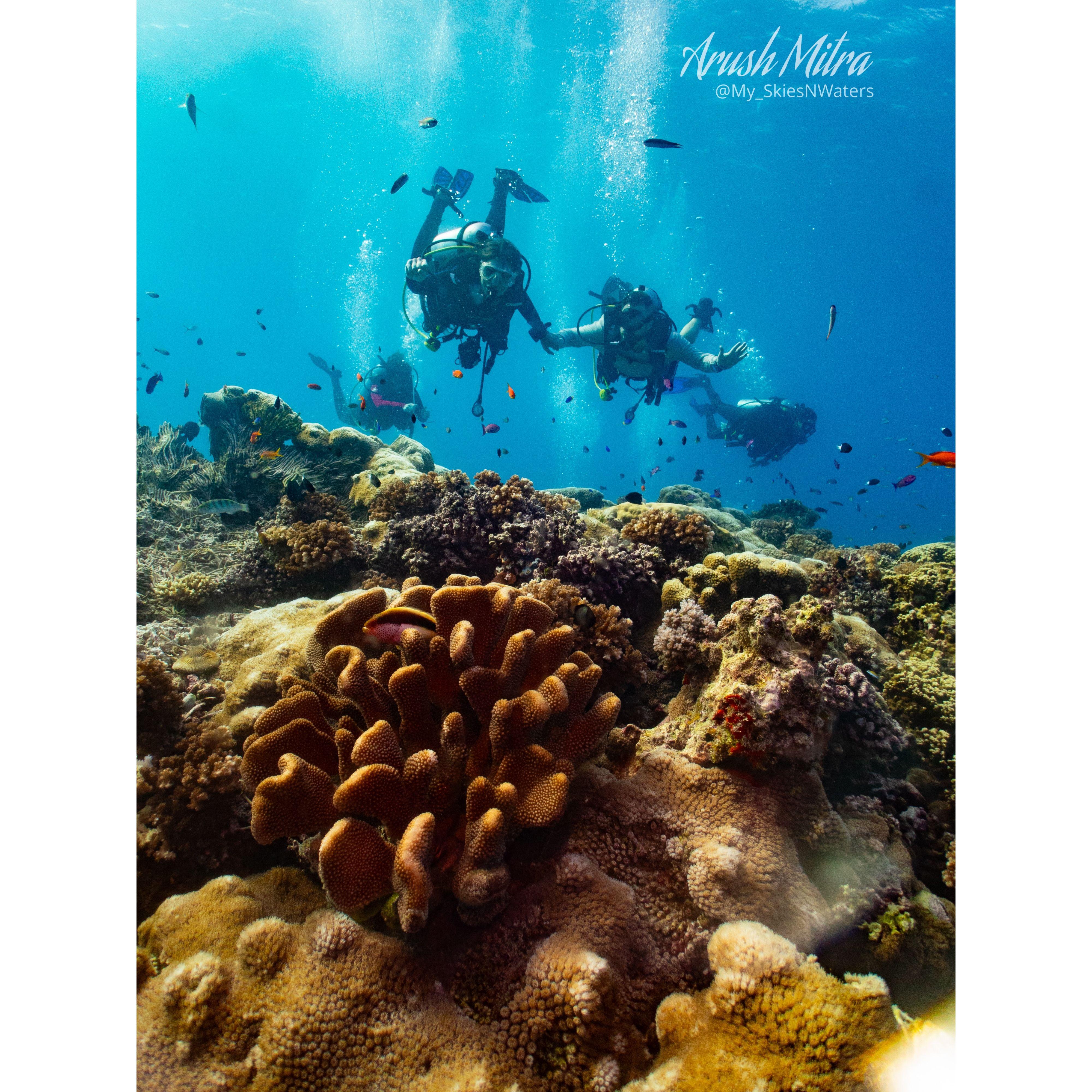 We were engaged on our dream vacation scuba diving the Great Barrier Reef in Australia. Thankfully the actual proposal was not underwater:)