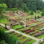 International Rose Test Garden