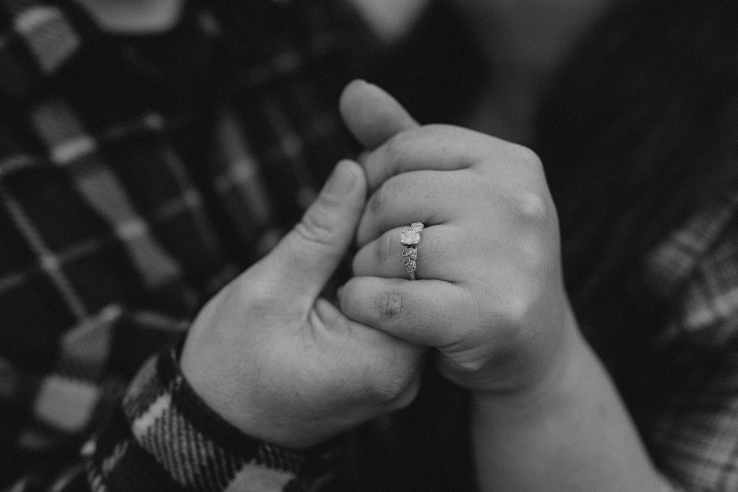 The Wedding Website of Lydia Sadighmehr and Greg Brooks