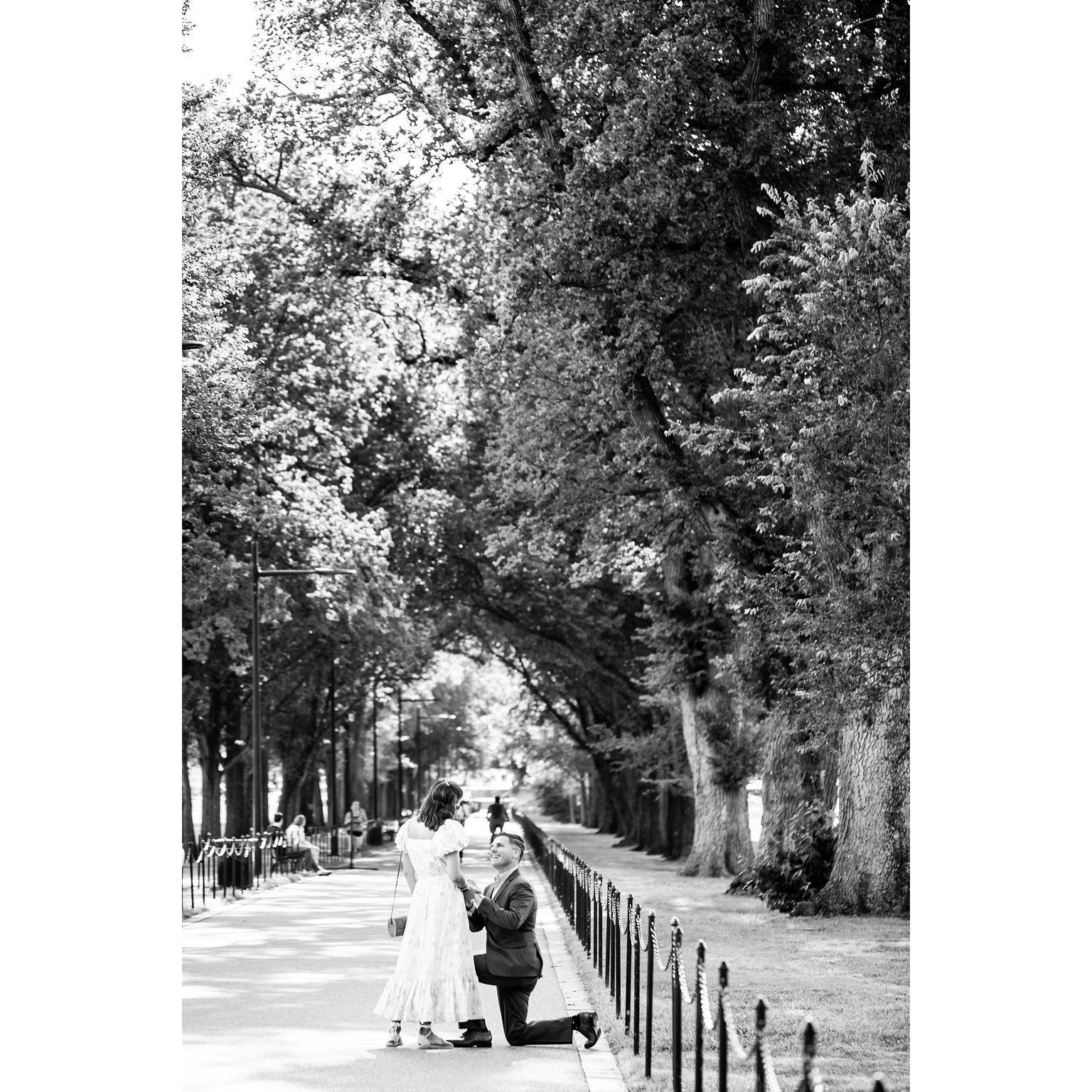 The proposal!