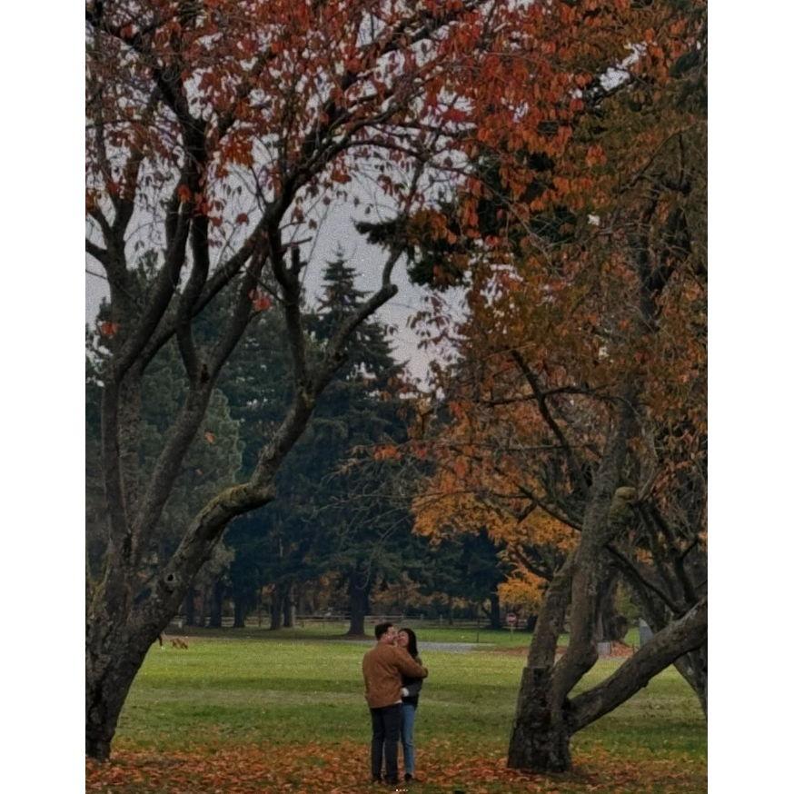 Doug's picture of us from behind the bush - 200 ft away.