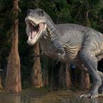 Royal Gorge Dinosaur Experience