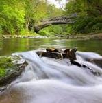 Wissahickon Valley Park