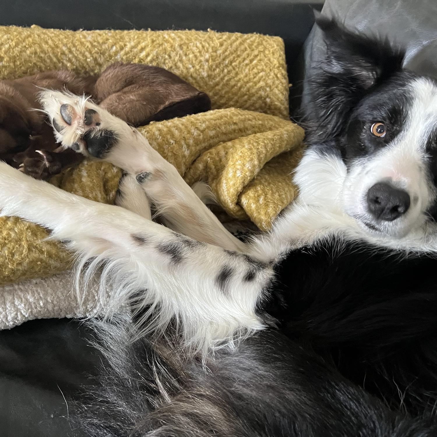 COOPER (little boy) and JANE (little girl) ❤️❤️❤️❤️❤️❤️