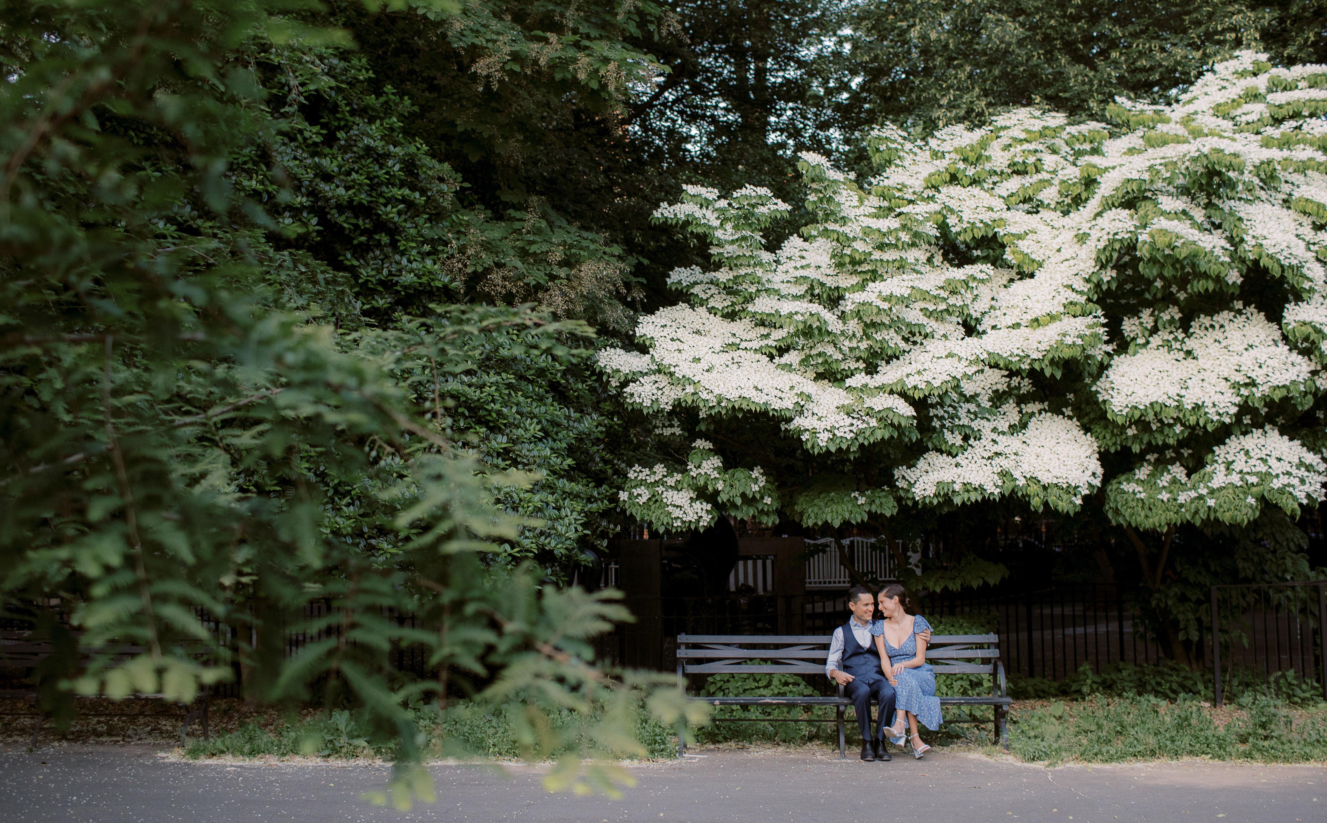 The Wedding Website of Emily Harburg and Samuel Shapiro