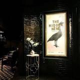 The Hidden Nēnē