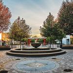 Walnut Creek Things To Do