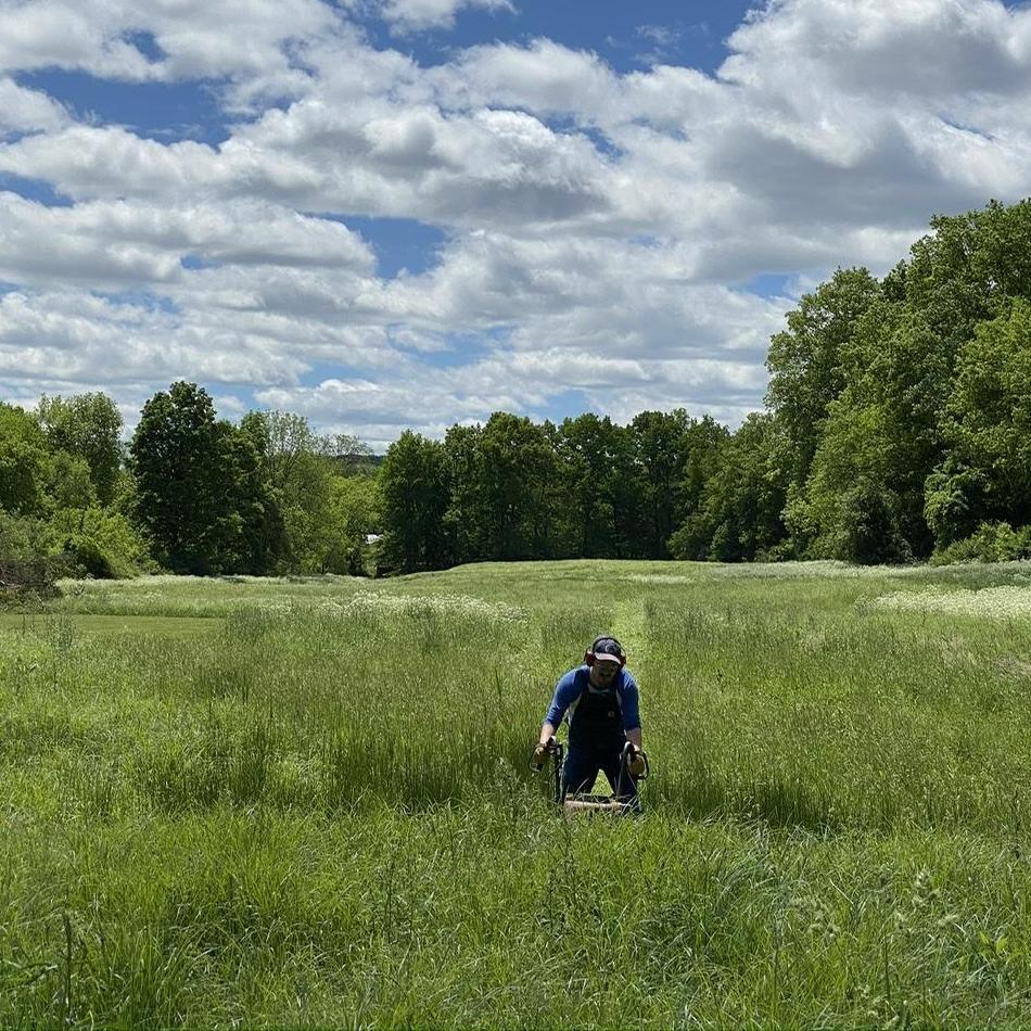 This particular field was not mowed by goats. It was mowed by Ben.