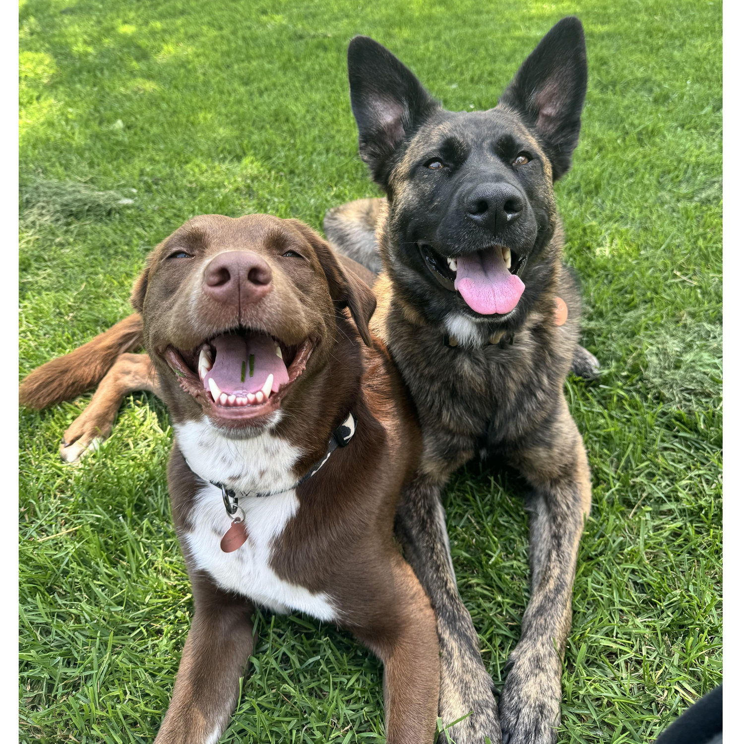 Echo and Phoebe 2024
