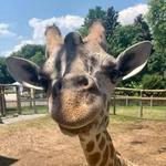 Chattanooga Zoo