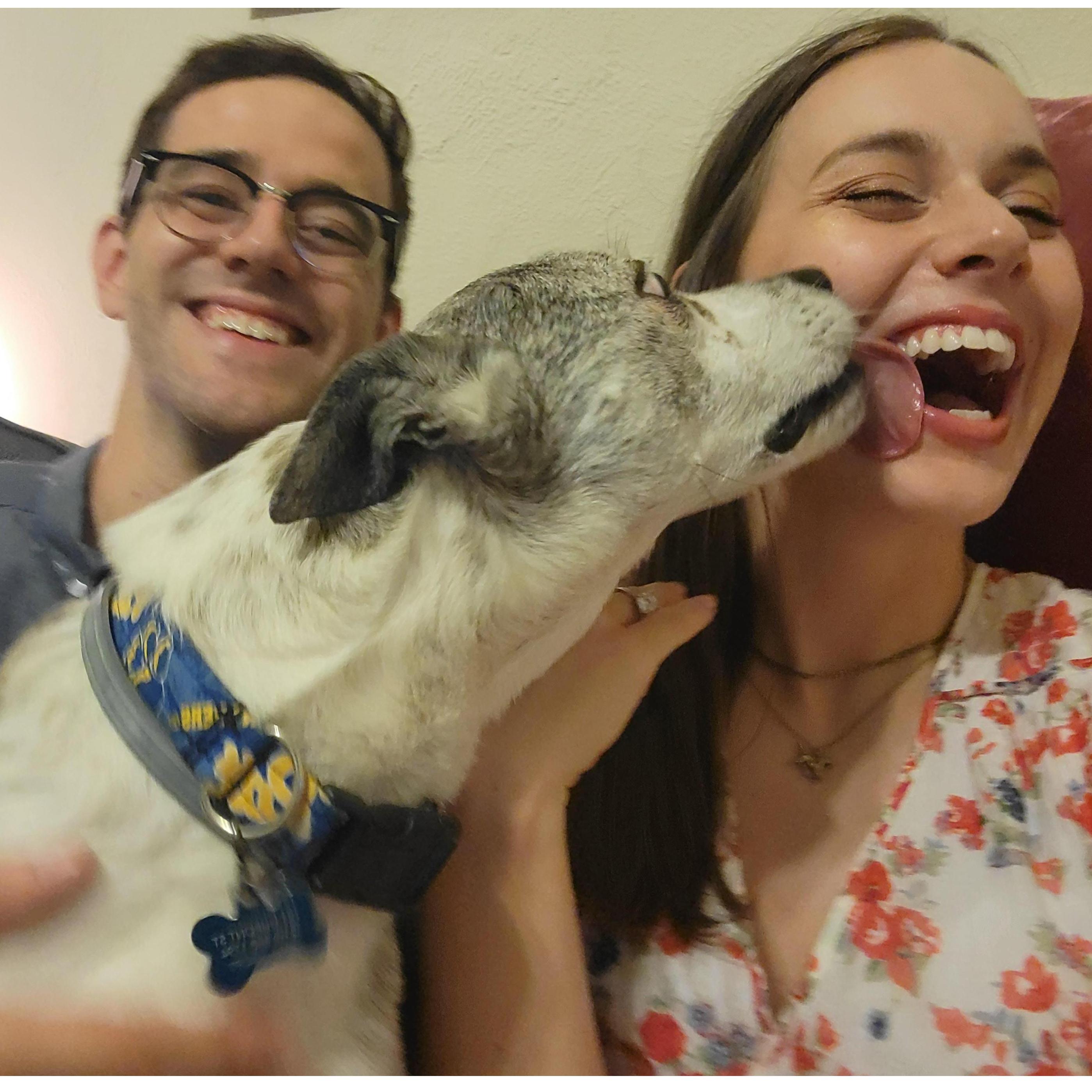 Bo was very excited to learn about the engagement!