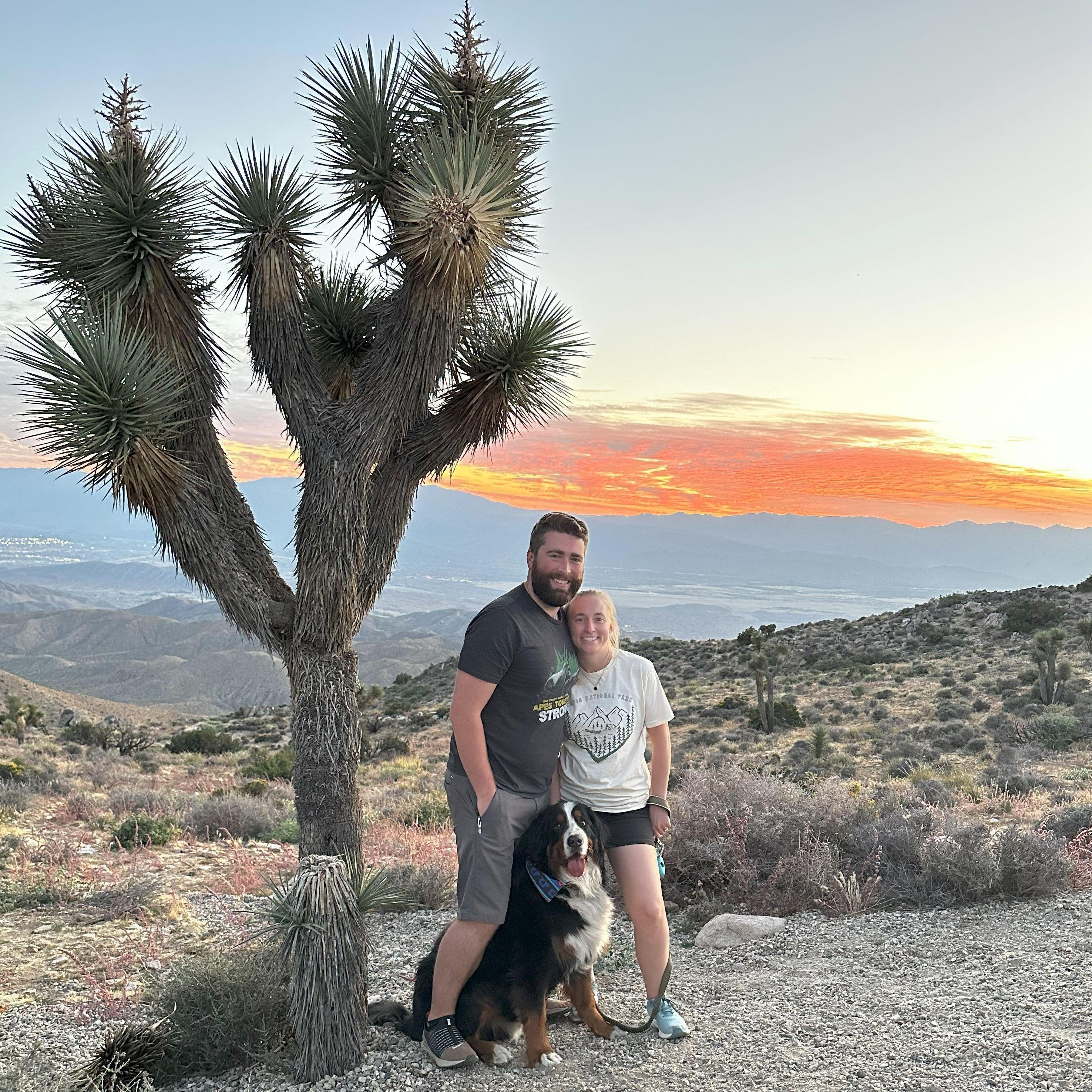 Sunset at Joshua Tree NP (2023)