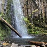 Pacific Crest Trail to Dry Creek Falls