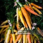 Ballard Farmers Market