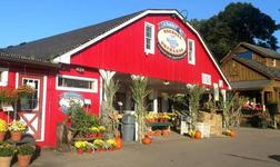 Soergel Orchards