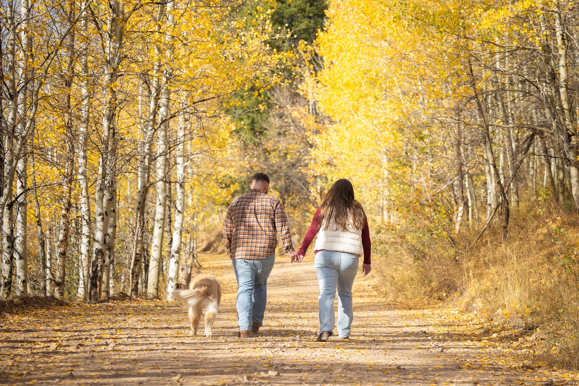 The Wedding Website of Bailey Ann Newland and Alec William Ross