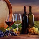 Wedding Day @  Le Reve Estates & Winery