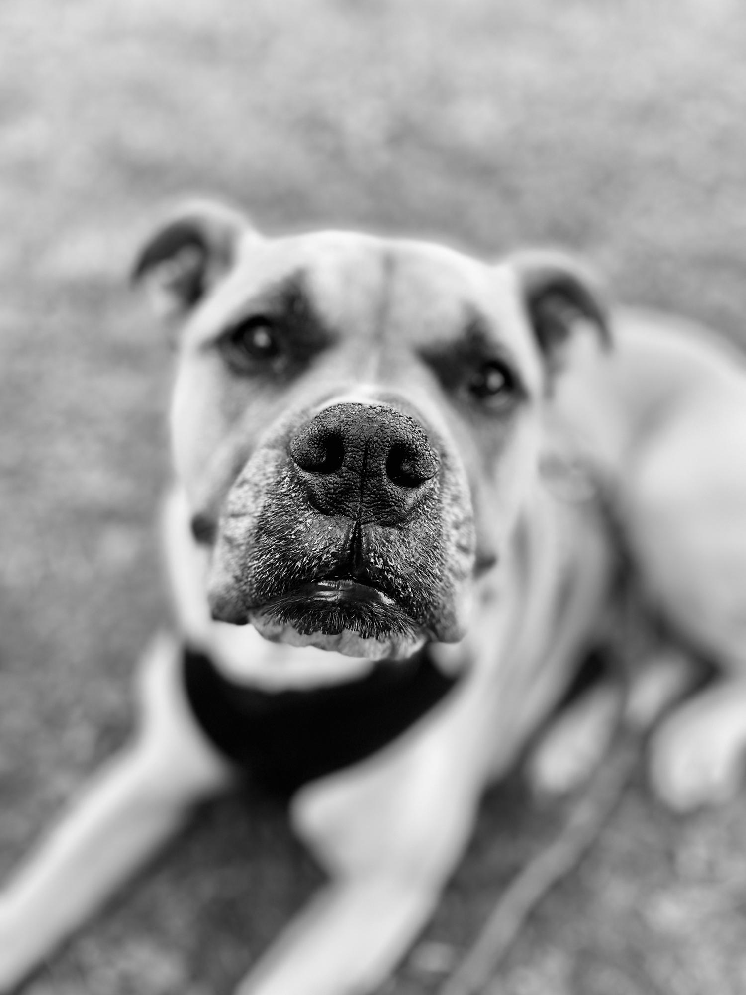 Tucker