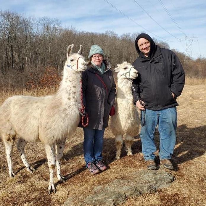 Hiking with llamas! - February 2020