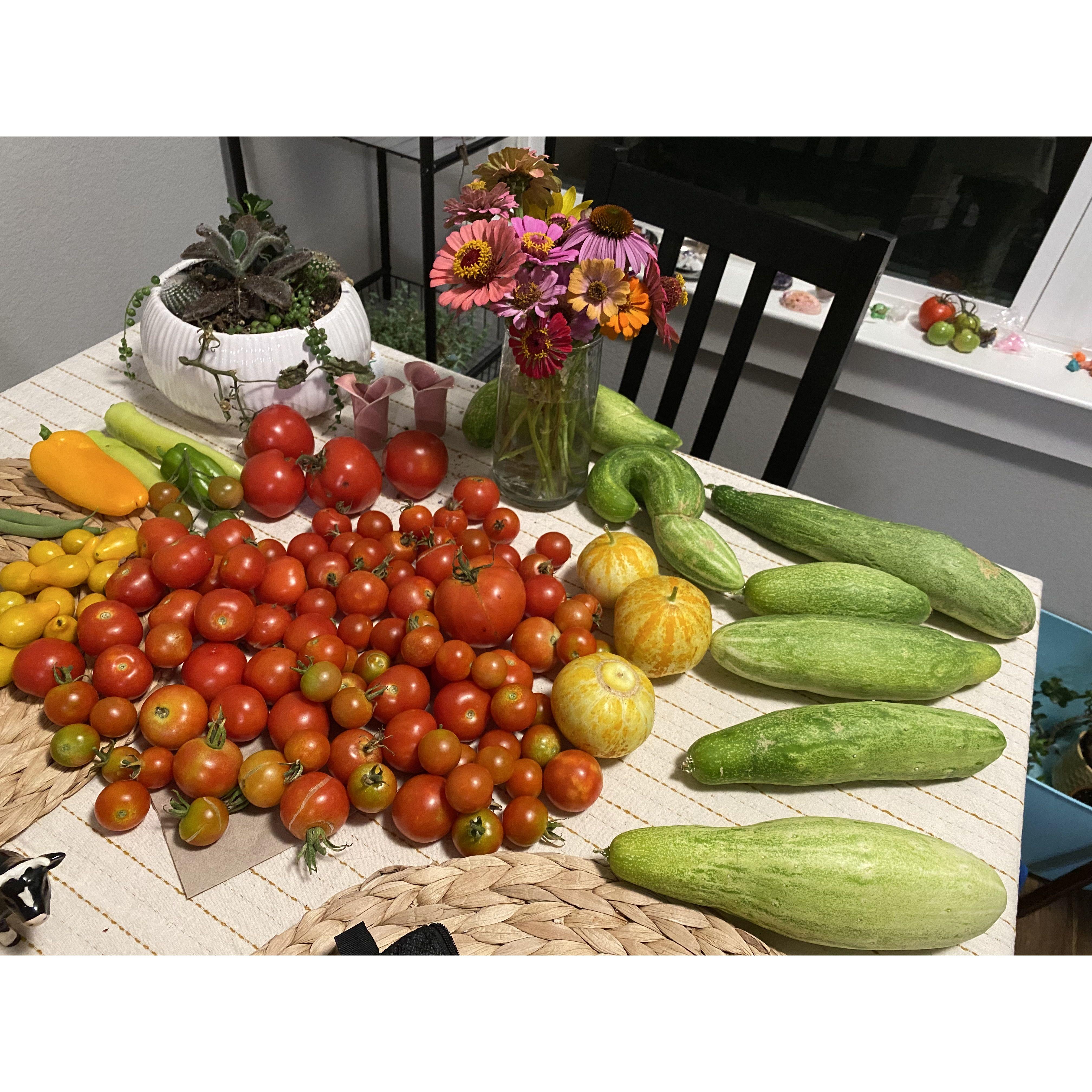 Harvest from our garden!