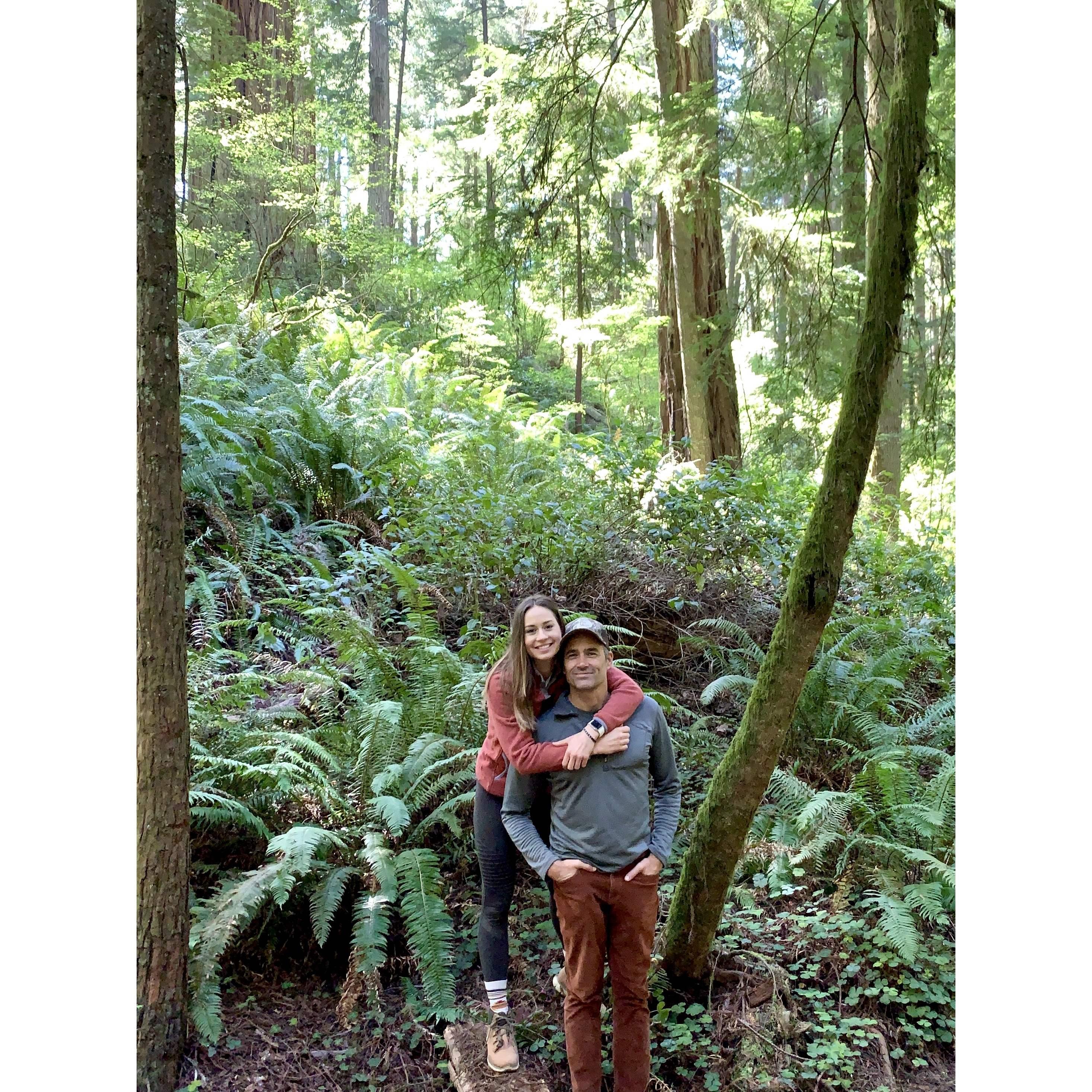 We were in awe by the Redwoods trees in northern California!
