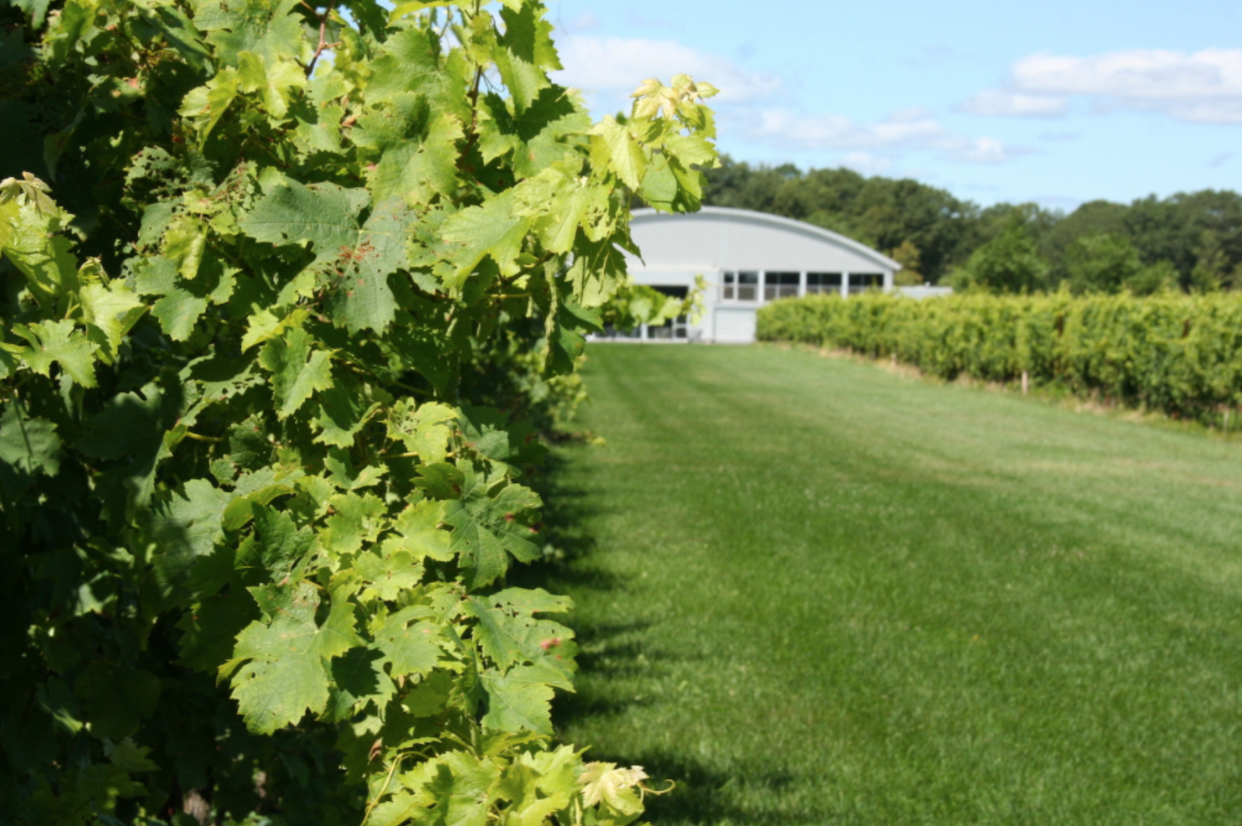 The Wedding Website of Bridget Davies and Dan Soulliard