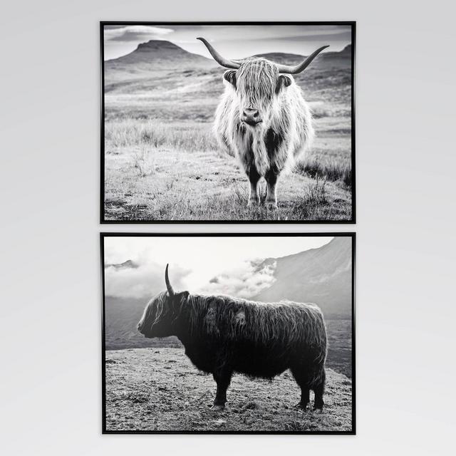 (Set of 2)28.9" x 22.9" Highland Cow Isle of Skye Decorative Framed Wall Arts Black - Threshold™