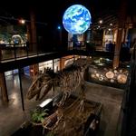 Houston Museum of Natural Science