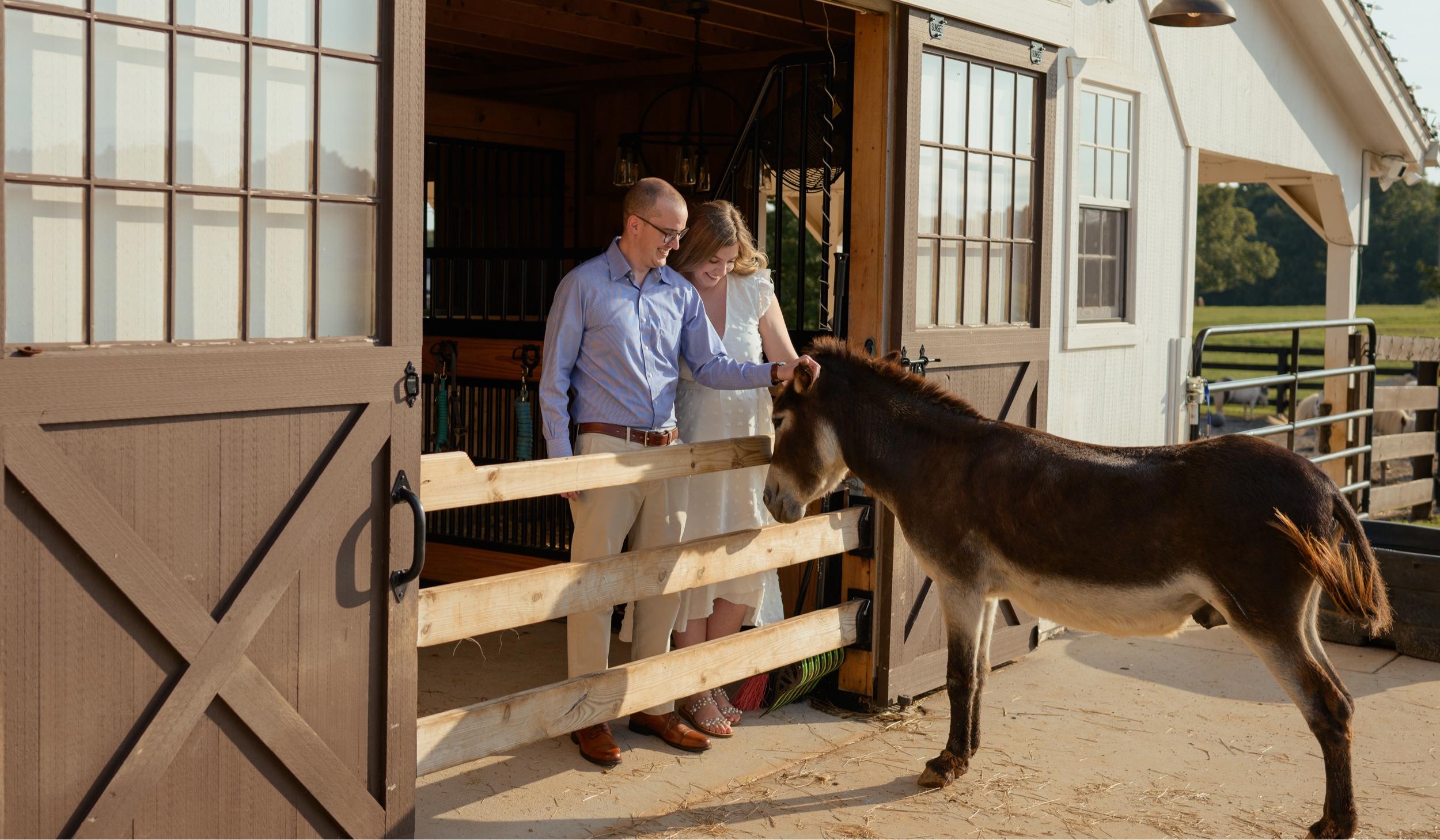 The Wedding Website of Taylor Pelzel and Adam Edge