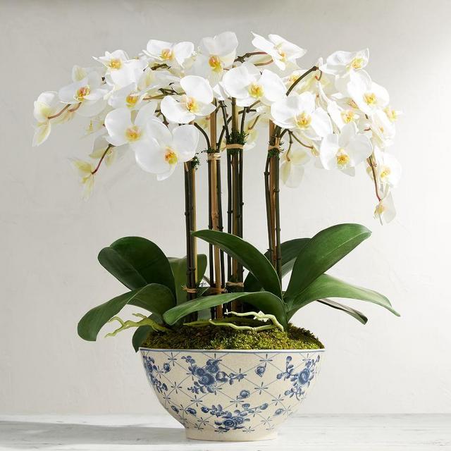 Faux Orchid in Rose Trellis Bowl