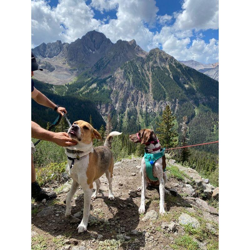 Telluride, Colorado | ... the reality.