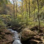 Pearson Falls (easy walk and waterfall)