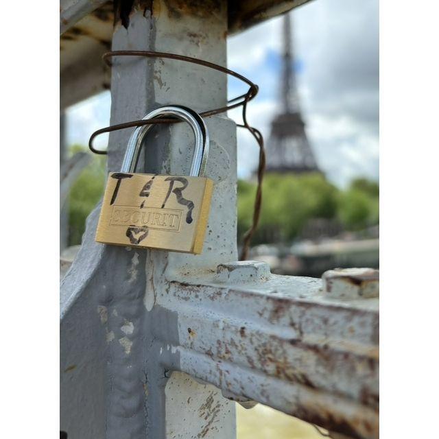 Our Lovelock placed on the bridge in Paris 2024